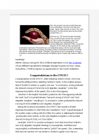 2015-11-09 Lucifer was an R-strategist